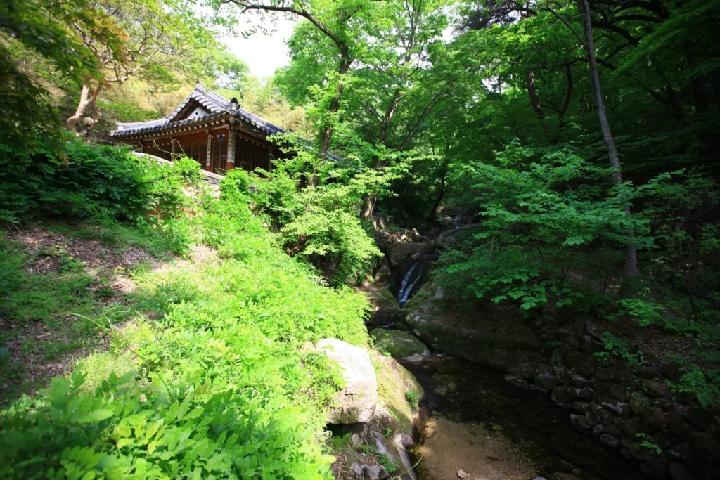 계룡 즐길거리 (출처 : 한국관광공사)
