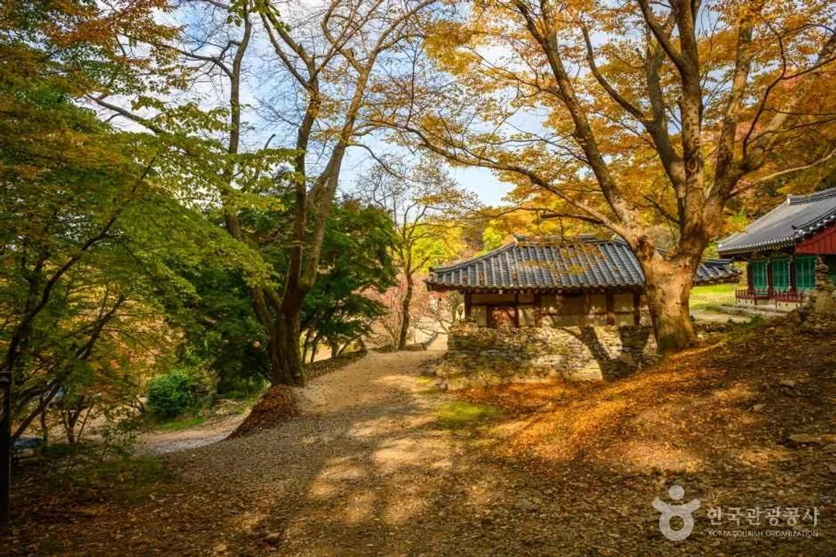 삼길포항 회뜨는 선상횟집 - 서산 여행