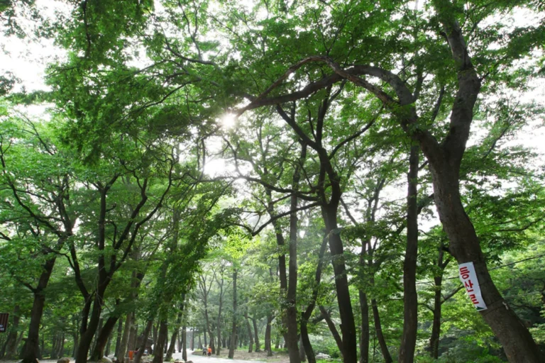 표충사 - 영남알프스 여행