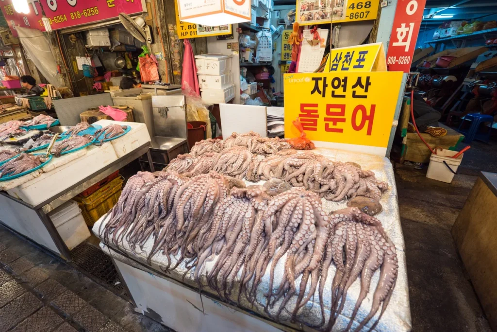 부전시장 펜션 추천 (출처 : 한국관광공사)