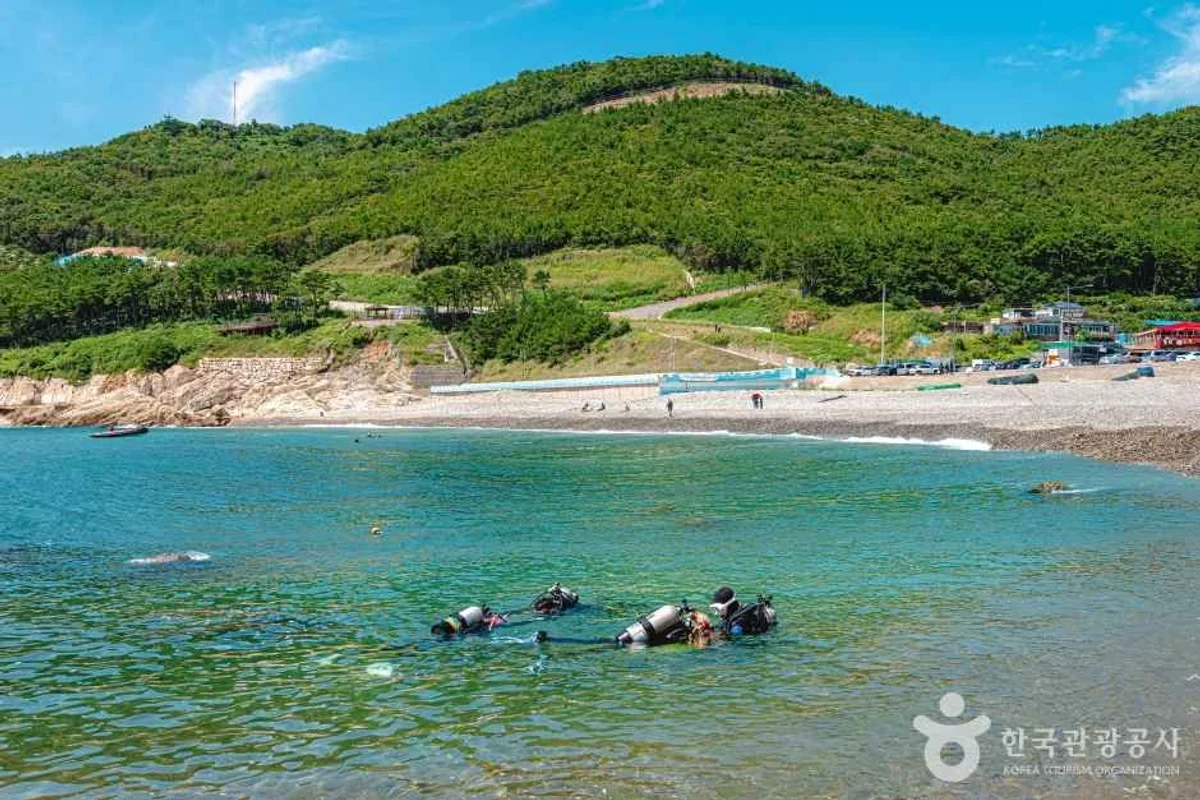 태종대 - 태종대 여행