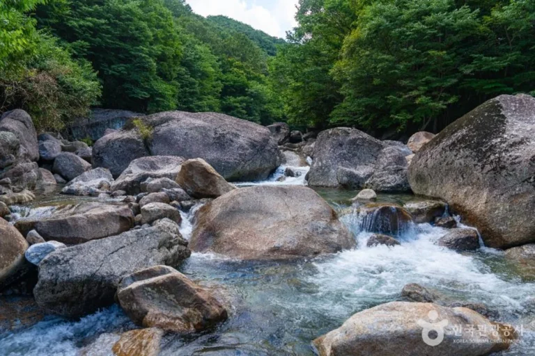 피아골계곡 - 구례여행 여행