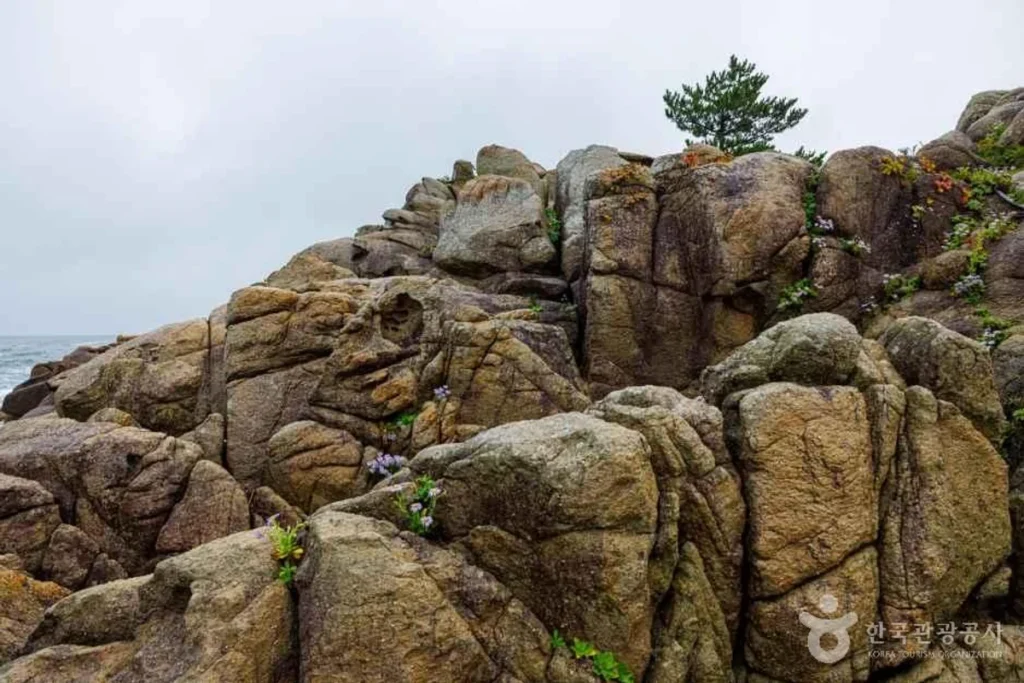 고성군 데이트 장소 (출처 : 한국관광공사)