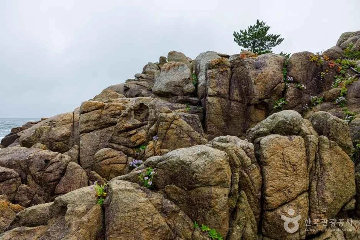 고성군 데이트 장소 (출처 : 한국관광공사)