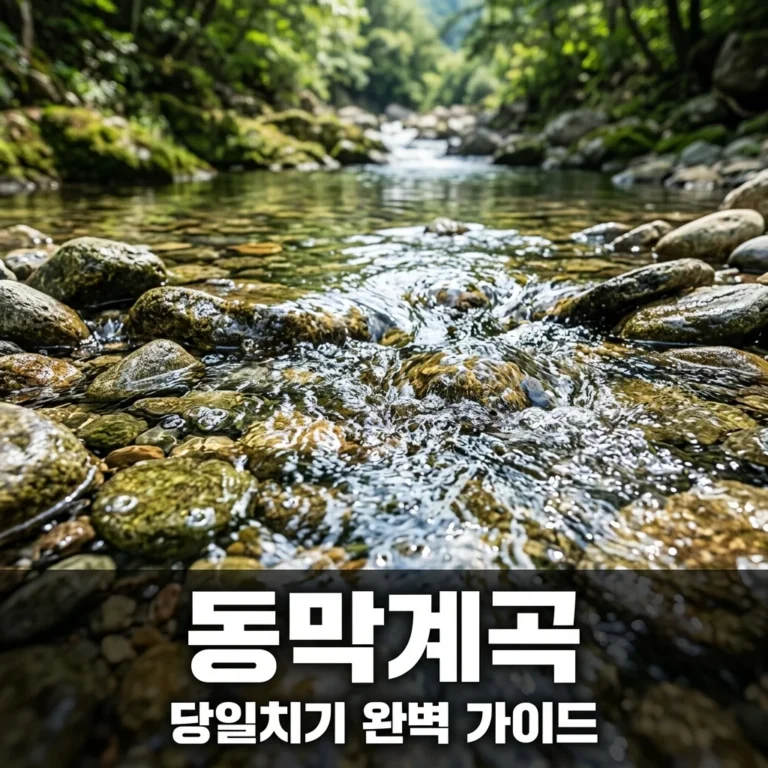 동막계곡 당일치기 물놀이 준비물 및 주차 꿀팁 완벽 가이드