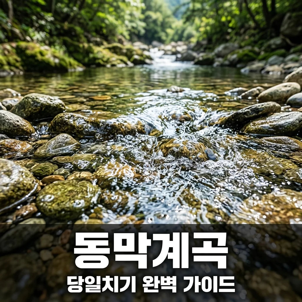 동막계곡 당일치기 물놀이 준비물 및 주차 꿀팁 완벽 가이드