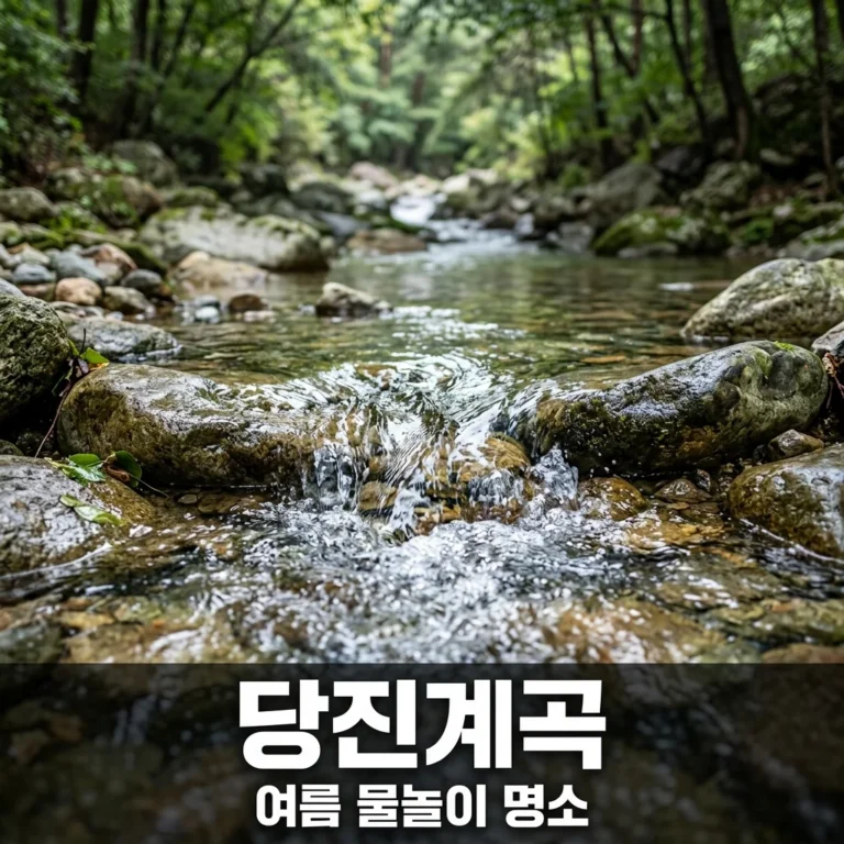 당진계곡 숨은 명소와 근교 물놀이 완벽 가이드