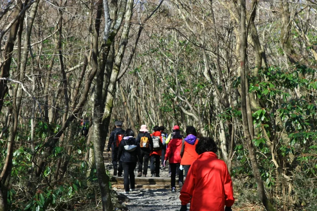한라산 여름 등산 (출처 : 한국관광공사)