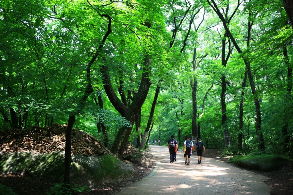 속리산 한옥마을 (출처 : 한국관광공사)