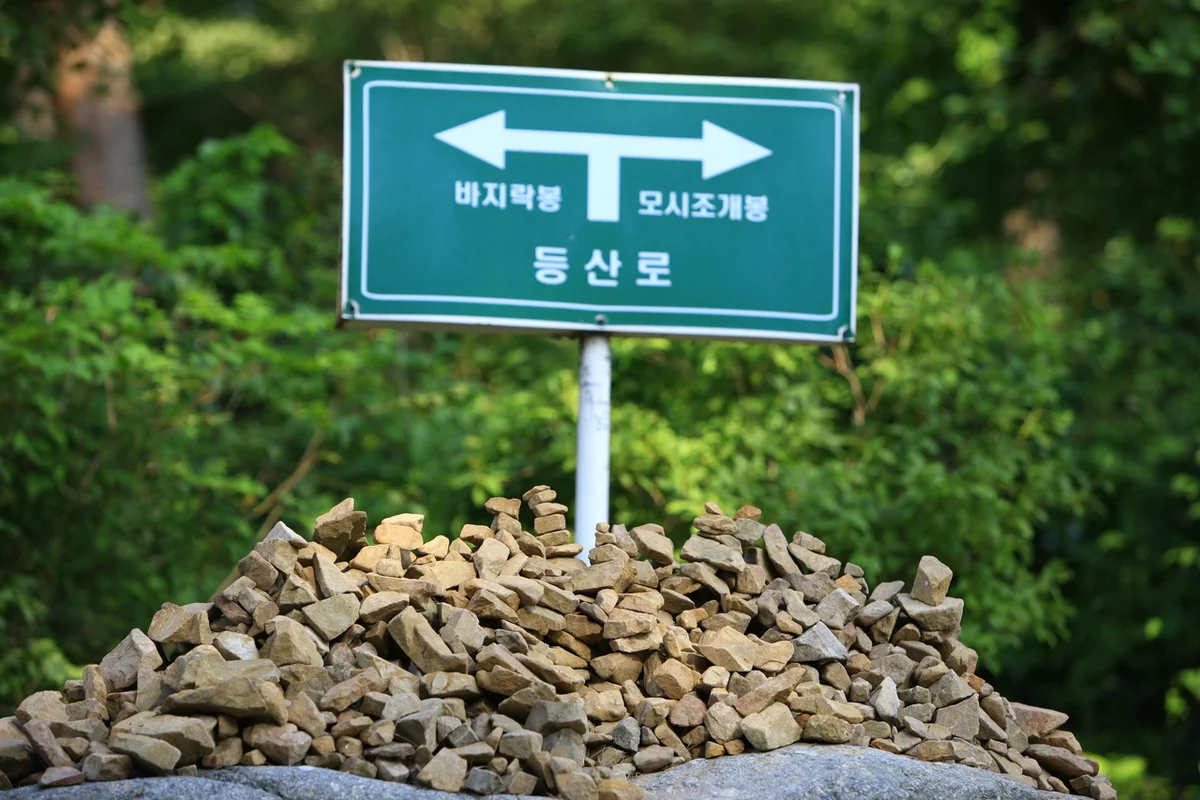 안면도자연휴양림 - 꽃지해수욕장 여행