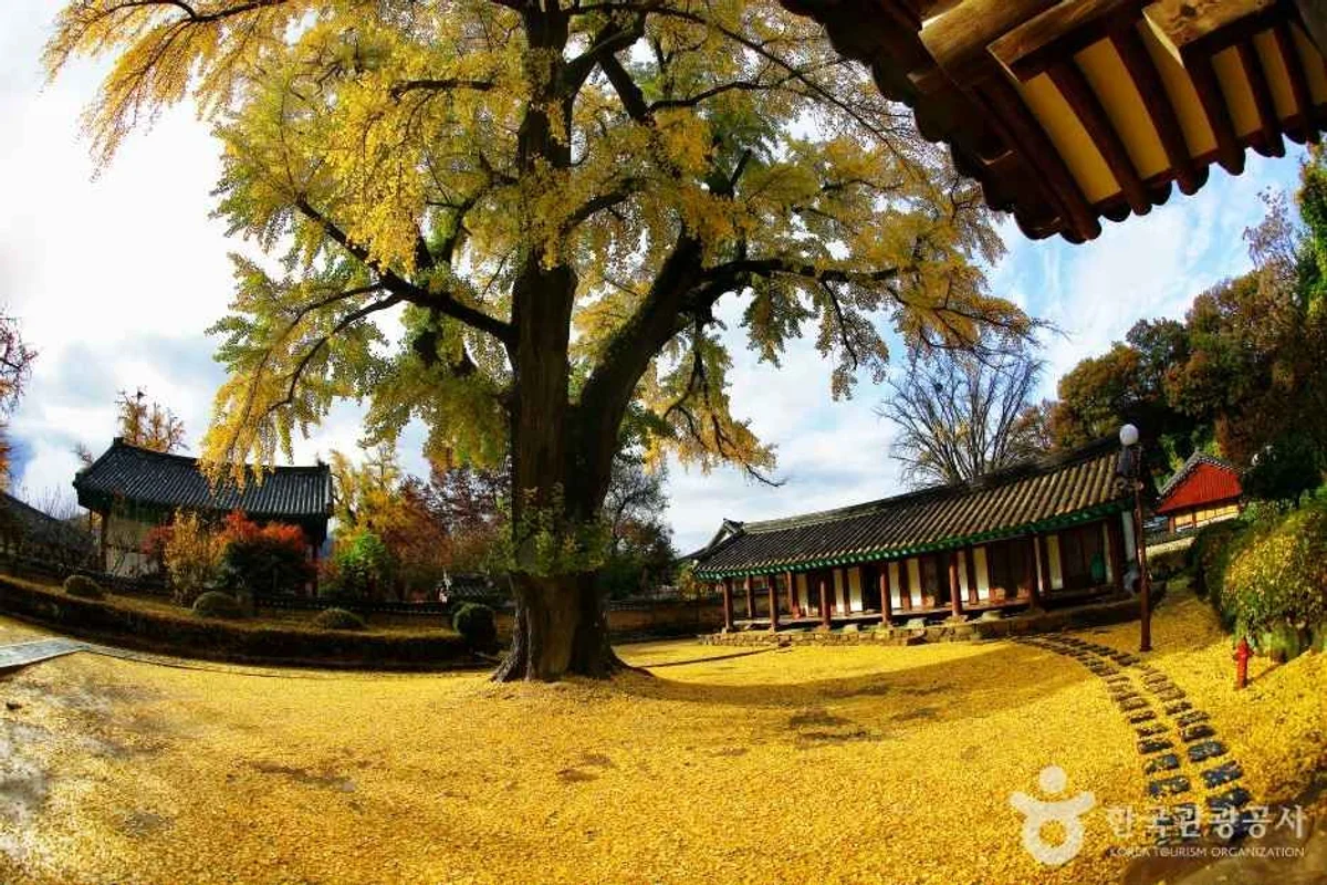 전주 혼자 여행 (출처 : 한국관광공사)