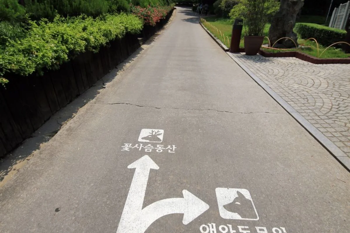 베어트리파크 - 세종아기랑가볼만한곳 여행