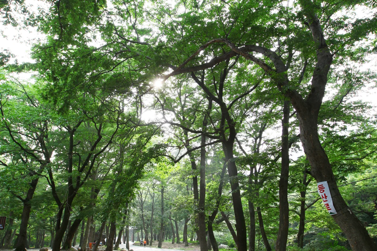 표충사 - 밀양나들이 여행