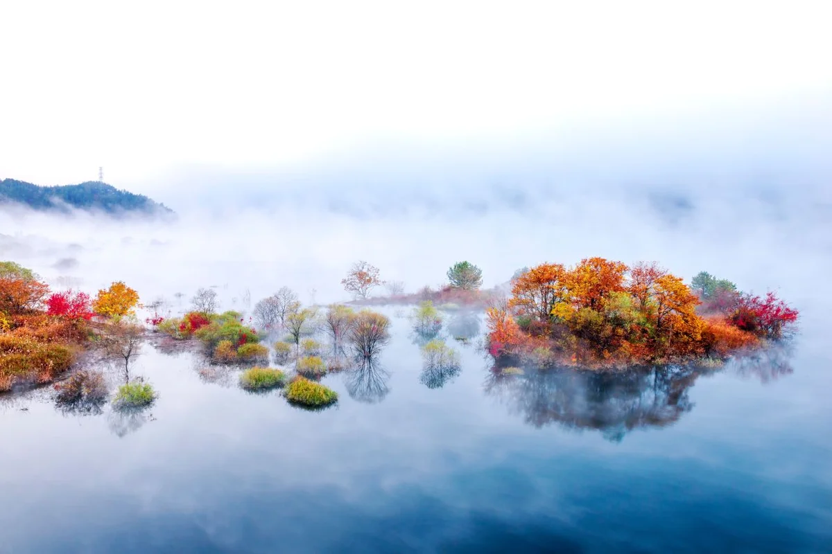 용담 축제 (출처 : 한국관광공사)