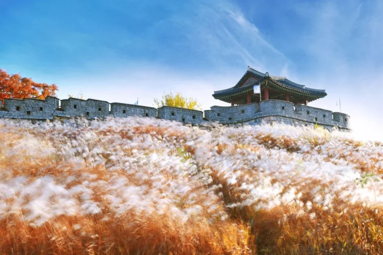 예산군 가족 나들이 BEST 6, 2026년 여름방학 추천 코스 1 수원화성 매화축제 (출처 : 한국관광공사)