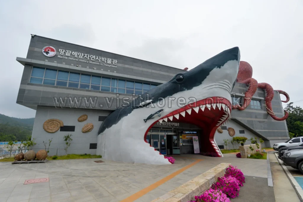 땅끝해양자연사박물관 - 해남여행 여행