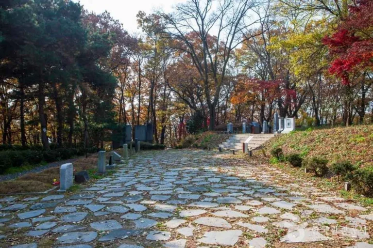 성남 입장료 무료, 2026년 꼭 가봐야 할 명소 5곳: 걷기 좋은 공원부터 신비로운 식물원까지 5 양림동 여행코스 추천 (출처 : 한국관광공사)