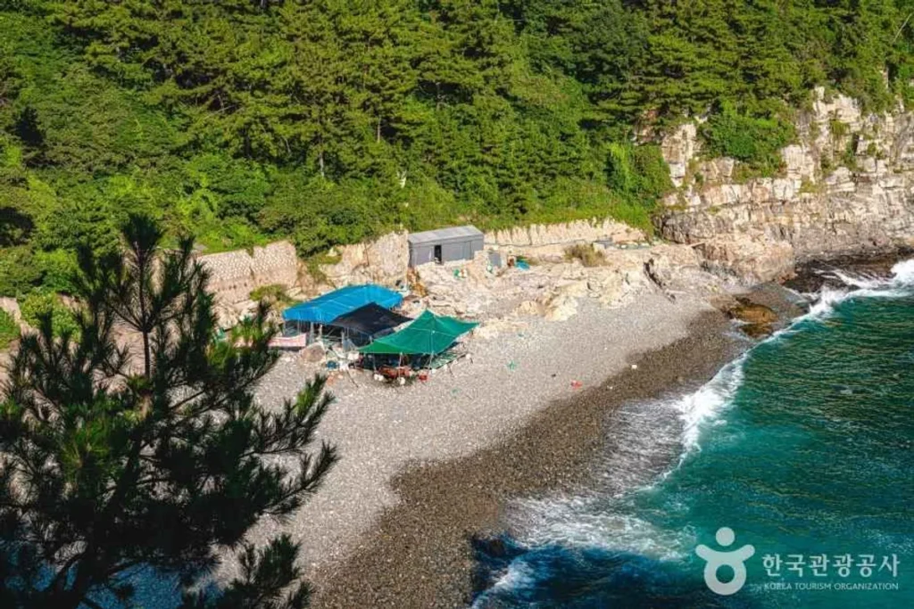 태종대 - 부산여행 여행