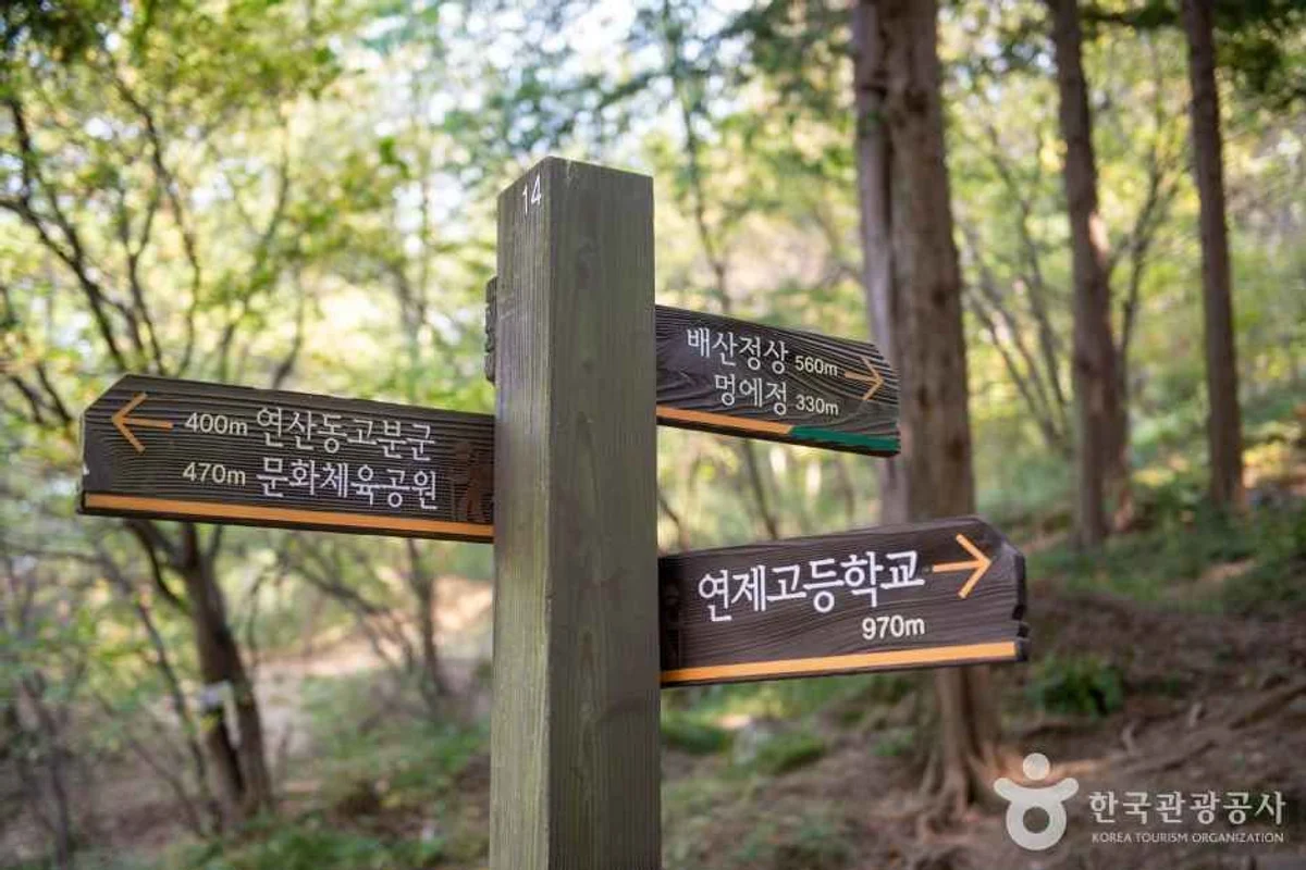 배산 - 연제구식물원 여행
