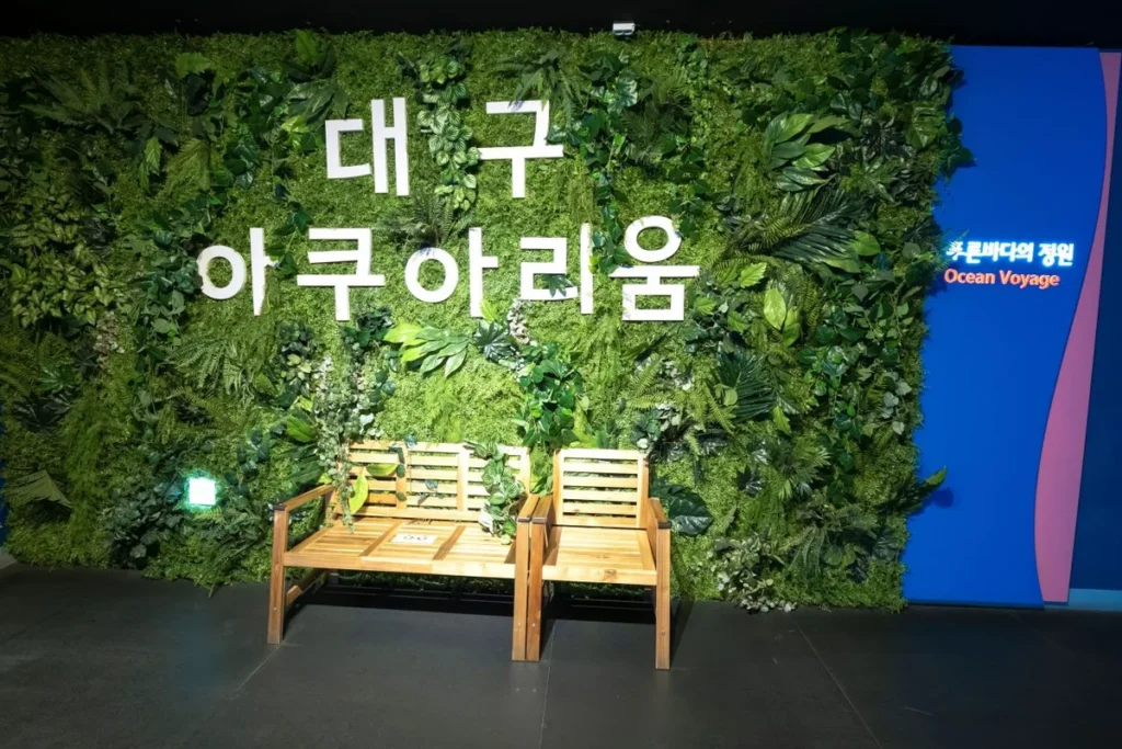 대구아쿠아리움 - 대구여행 여행