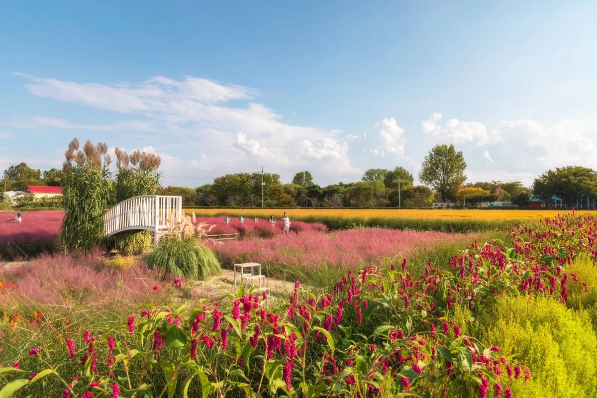 평택 여름 휴가 (출처 : 한국관광공사)