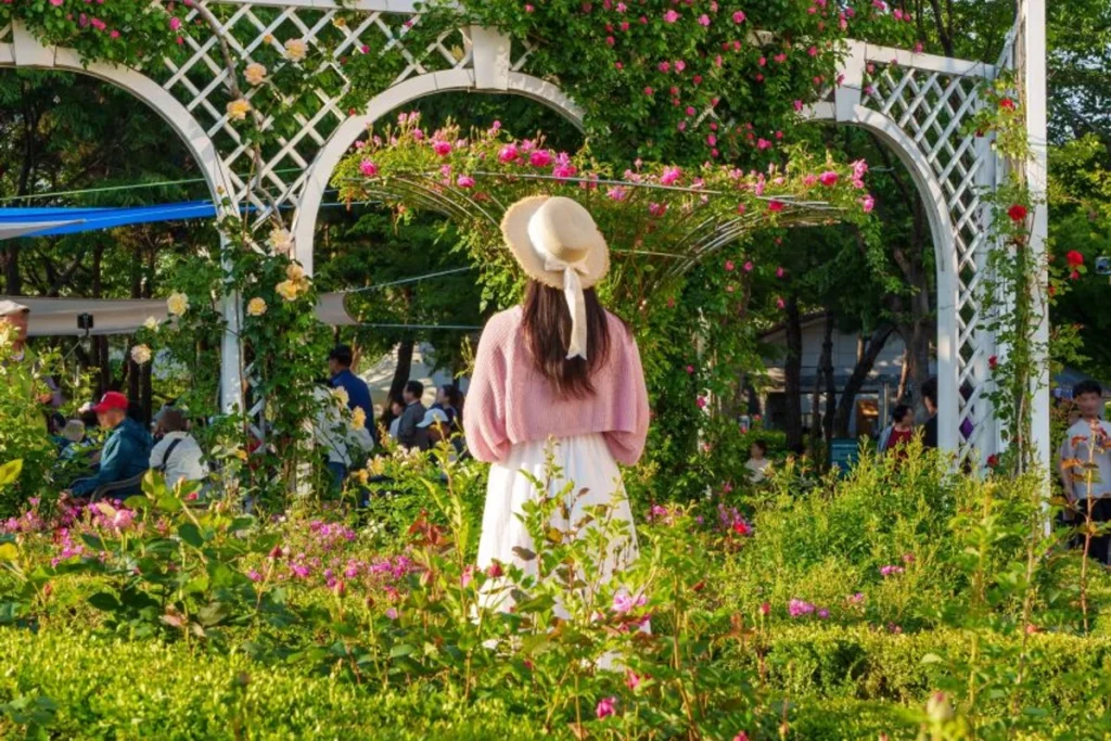 중랑장미공원 - 중랑구아이와가볼만한곳 여행