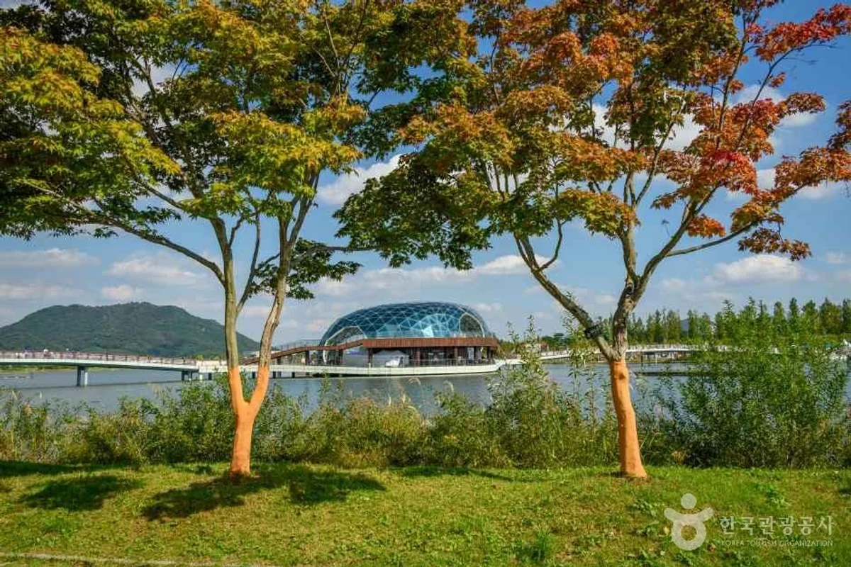 세종호수공원 - 세종아기랑가볼만한곳 여행