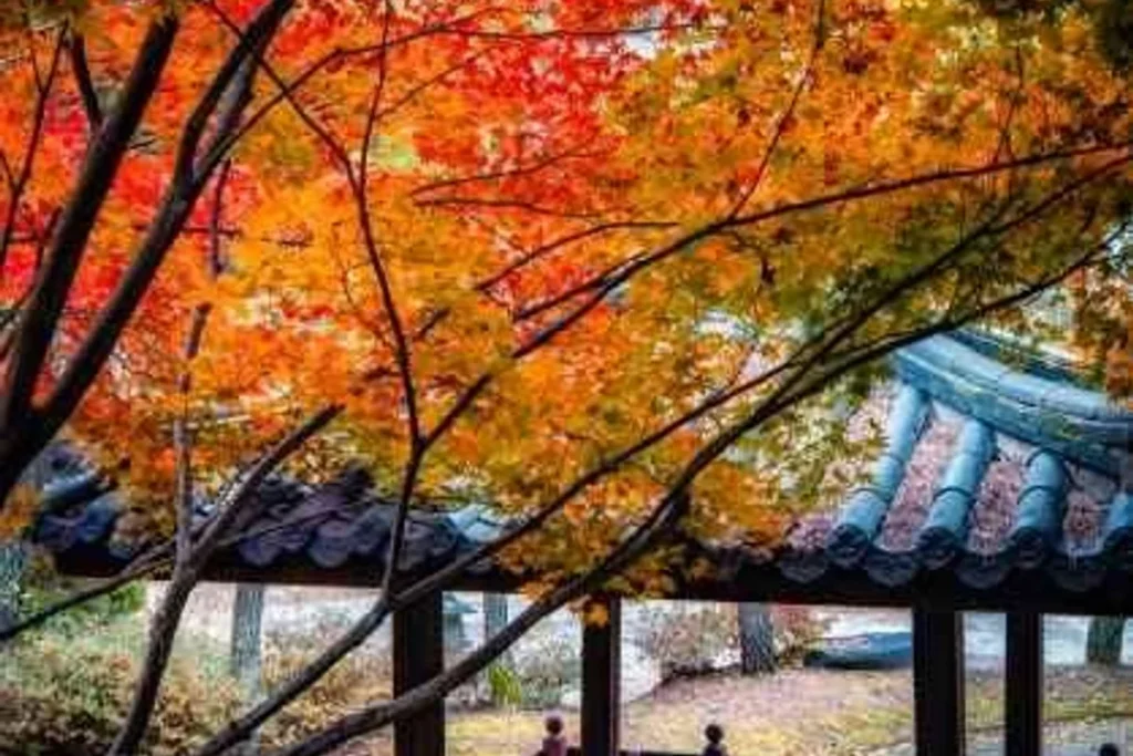 세종 아기랑 가볼만한곳 (출처 : 한국관광공사)