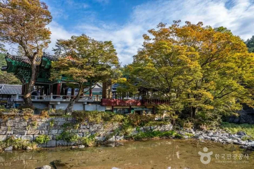 마곡사 - 공주여행 여행