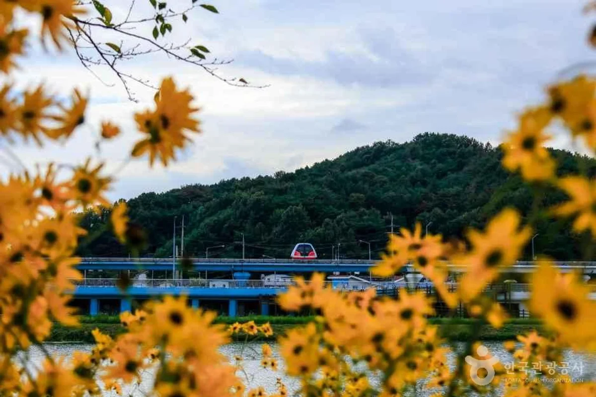 순천만국가정원 - 순천여행 여행