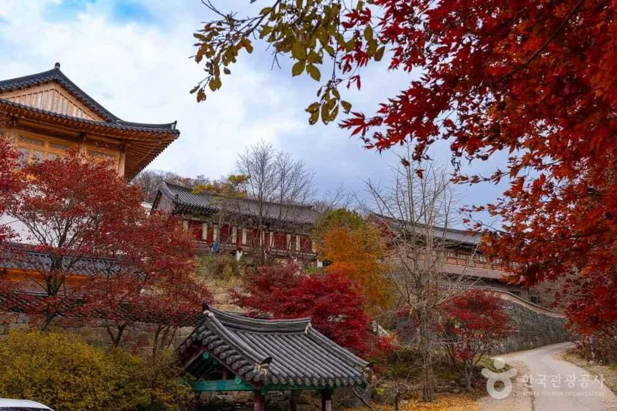 안국사 - 무주여행 여행