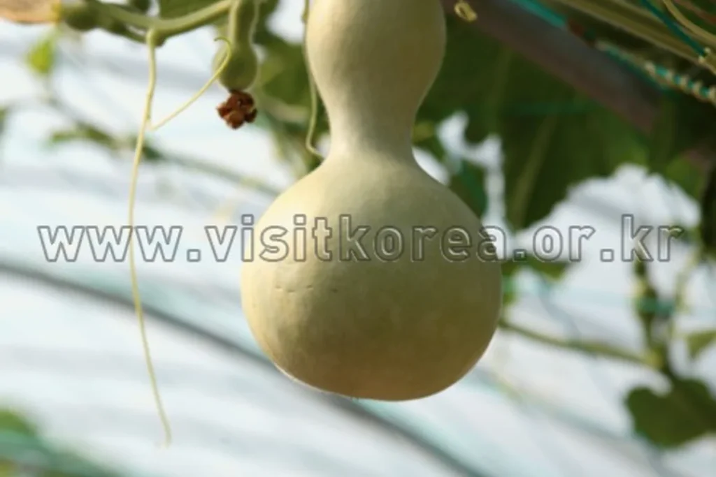 엑스포공원 관광지 (출처 : 한국관광공사)