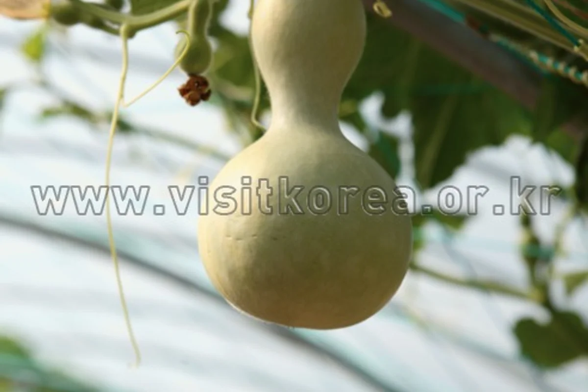 엑스포공원 관광지 (출처 : 한국관광공사)