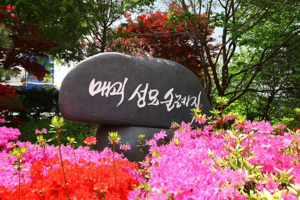 곡성 캠핑 (출처 : 한국관광공사)
