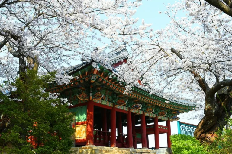 경포대 근교여행 (출처 : 한국관광공사)