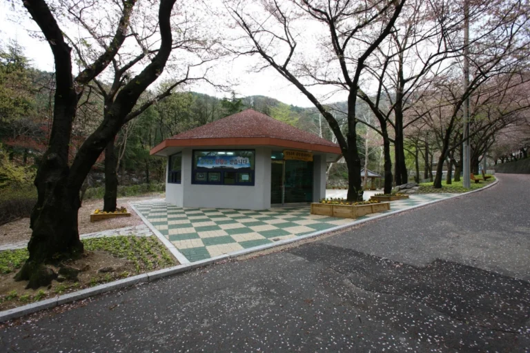 앞산 가을 나들이 (출처 : 한국관광공사)