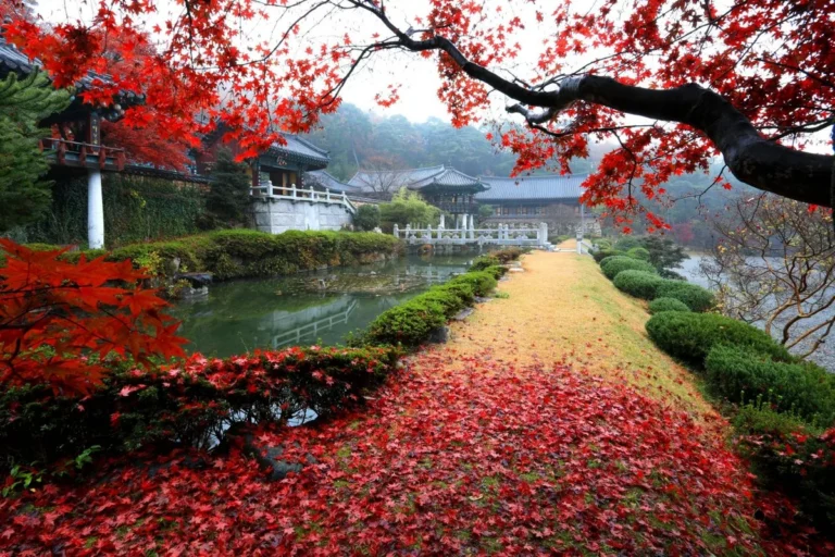 양산 단풍 명소 (출처 : 한국관광공사)