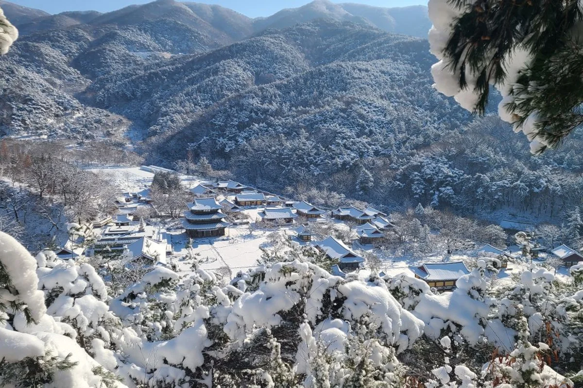 완주군 억새 여행 추천 5곳 1 모악산 - 완주군억새 여행