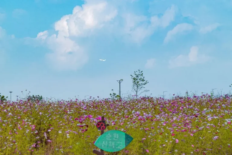 양구 숨은 명소 (출처 : 한국관광공사)