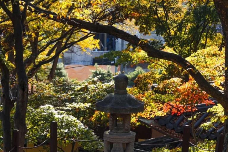 성북 가을 가볼만한곳 (출처 : 한국관광공사)