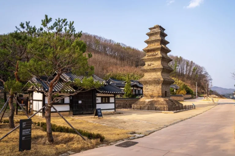 탑동 단체 여행 (출처 : 한국관광공사)