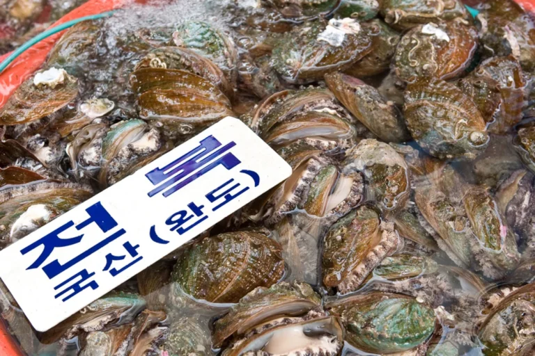 창원시 아쿠아리움 대체할 남해안 해양 여행 코스 BEST 5 2 창원시 아쿠아리움 (출처 : 한국관광공사)